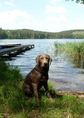 NaturCampingplatz am Springsee Gutschein „Angelurlaub“