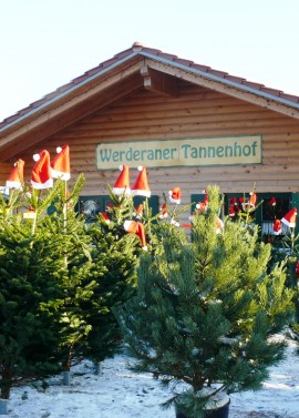 Werderaner Tannenhof