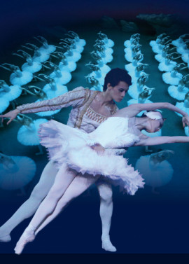 Der Größte Schwanensee der Welt- Ballett 01.12.2018 um 20 Uhr, 1 x PK1