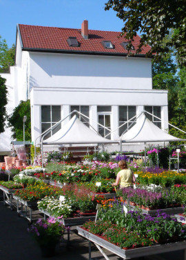 Hermann Rothe Gartenbau