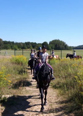 5er-Karte Reitstunden - Ponyfarm und Reitanlage Kladow