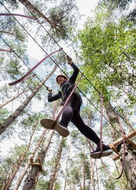 CLIMB UP! - Kletterwald, Bergwelt und Kletterpark  Gutschein über 50€