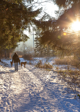 3 Übernachtungen im Harz