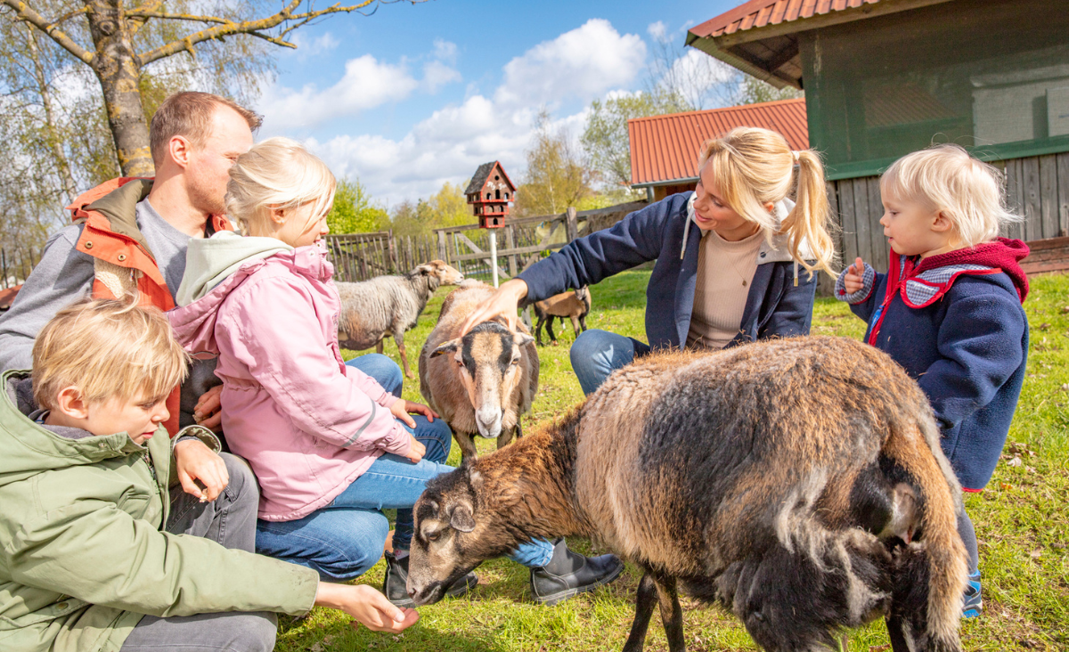 Eine Familie füttert Ziegen auf einem Bauernhof und genießt die Zeit miteinander in der Natur.