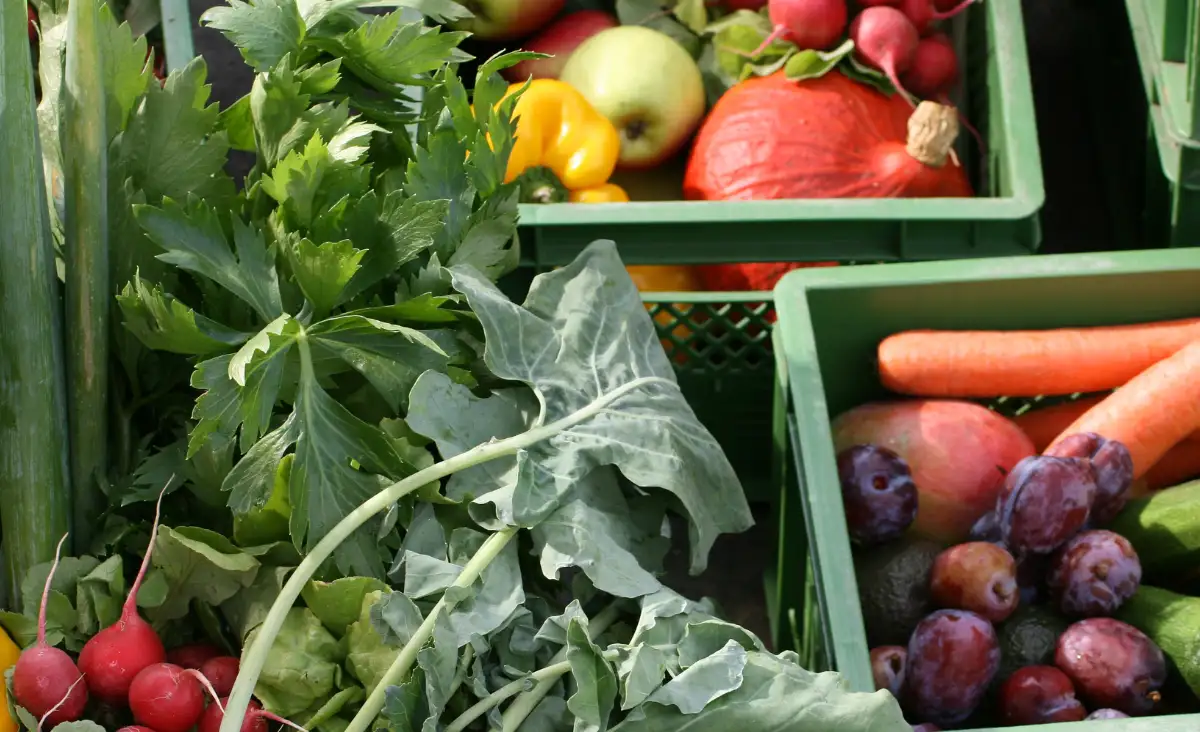 Eine grüne Kiste, gefüllt mit einer Vielzahl von frischem Gemüse, das gesund und einladend aussieht.