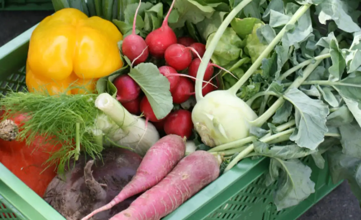 Eine grüne Kiste, randvoll mit frischen Gemüse und aromatischen Kräutern, perfekt für leckere Rezepte.