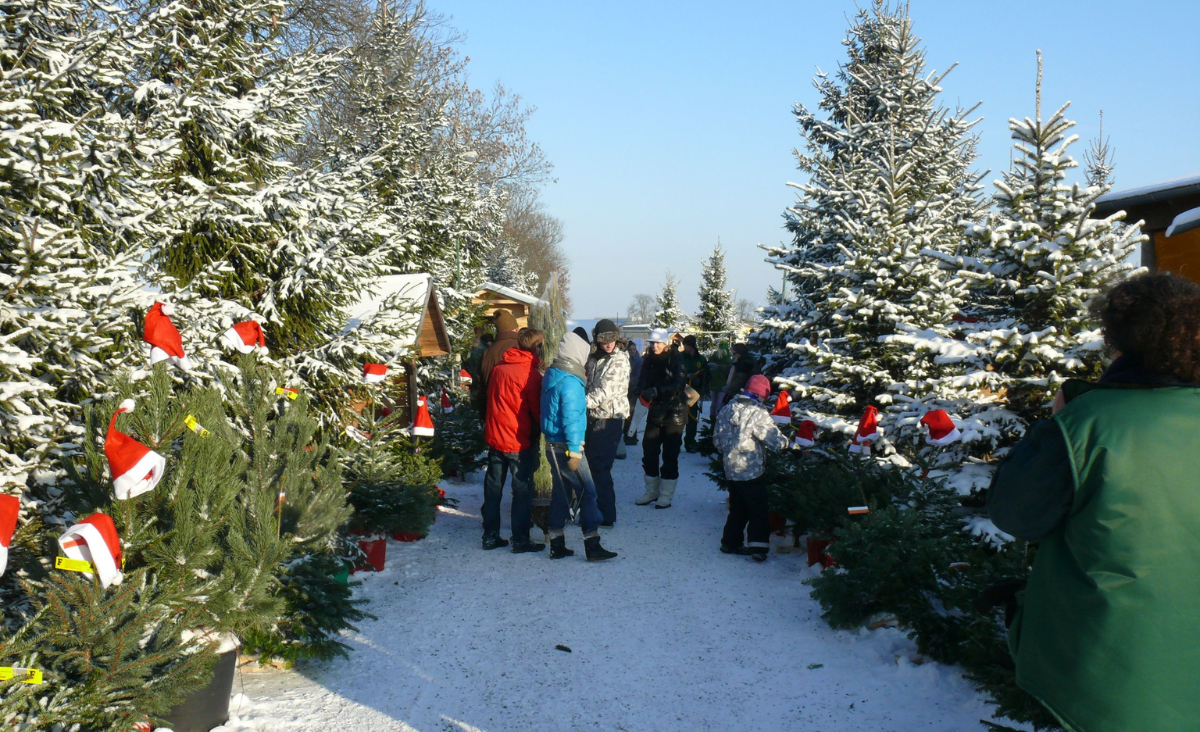 Eine Gruppe von Menschen steht in einer Reihe und wartet geduldig darauf, den perfekten Weihnachtsbaum zu finden.