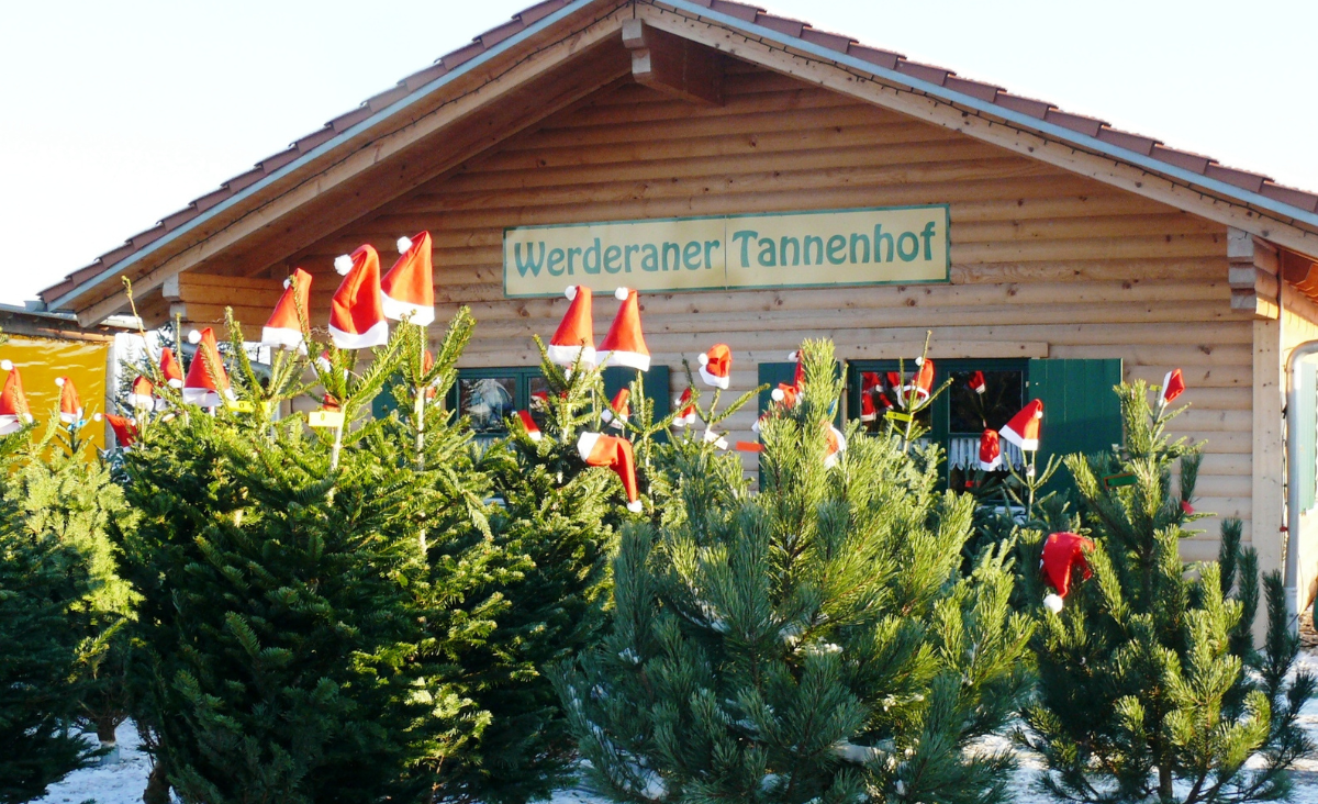 Ein Gebäude mit einem auffälligen Schild, das den Namen Werderaner Tannenhof trägt, umgeben von Weihnachtsbäumen.
