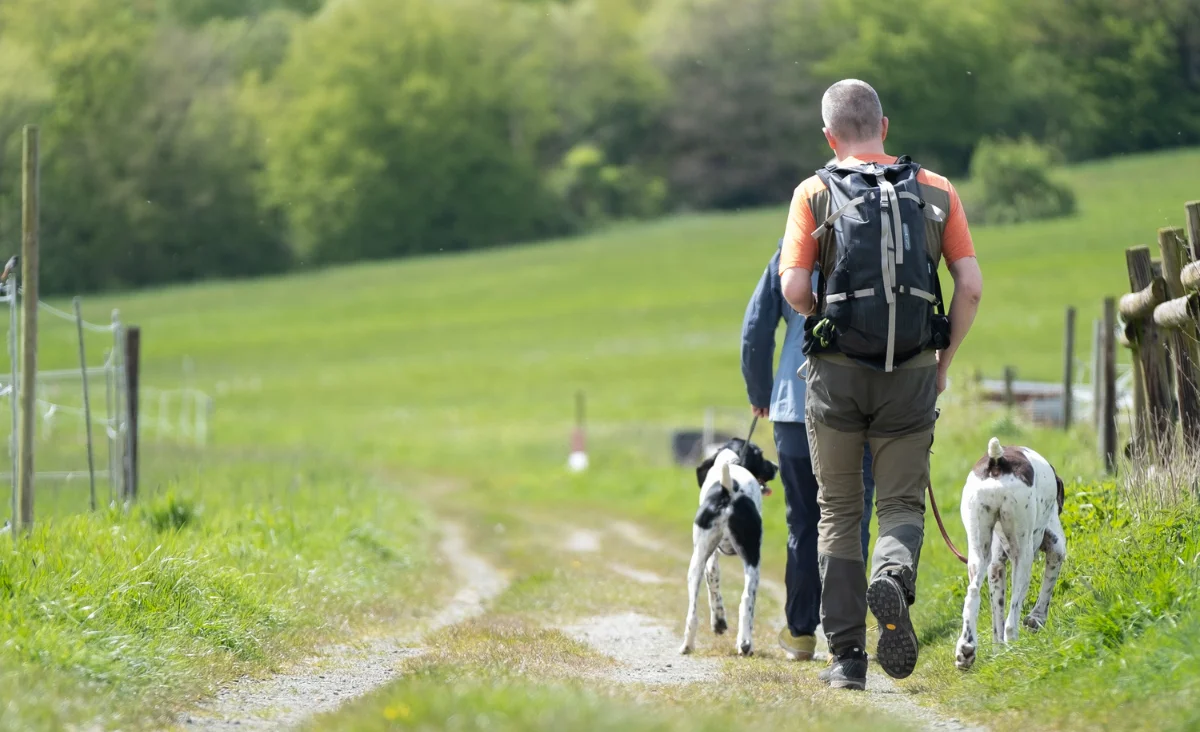 Ein Mann und eine Frau spazieren mit ihren Hunden auf einem Schotterweg.