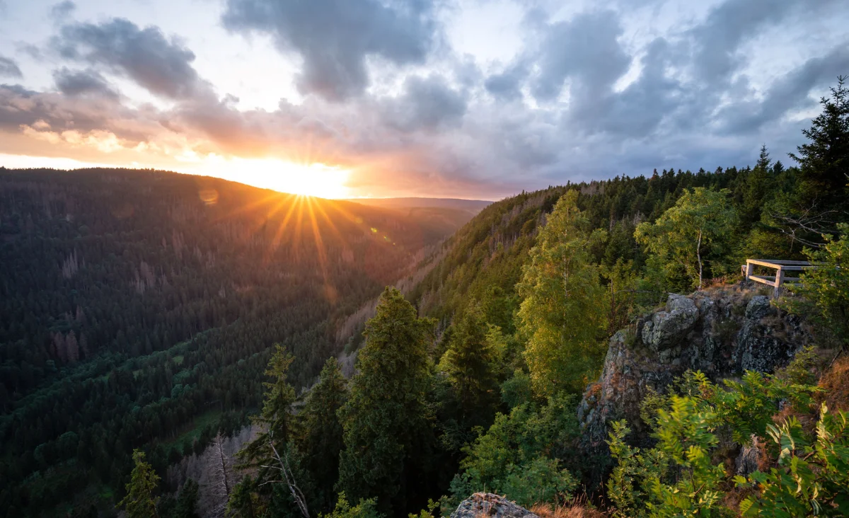Sonnenuntergang über den Bergen im Wald, die Farben des Himmels spiegeln sich in der ruhigen Landschaft wider.