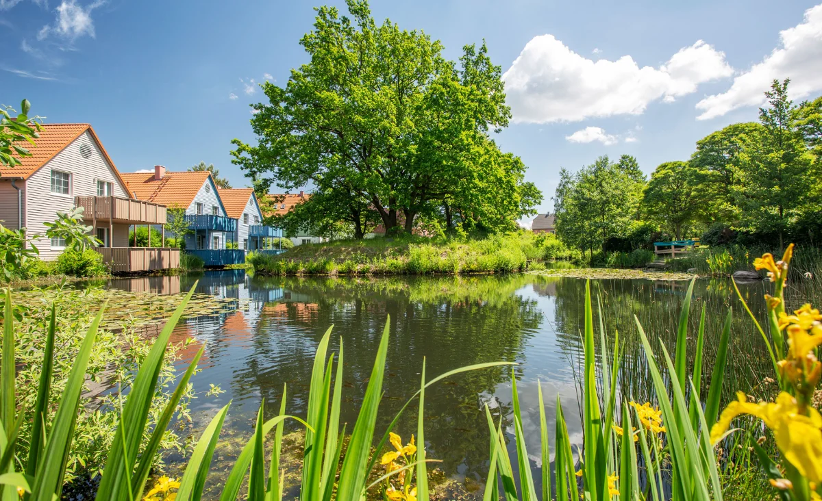 Ein ruhiger Teich mit einem Haus im Hintergrund, ideal für einen Familienurlaub an der Mecklenburgischen Seenplatte.