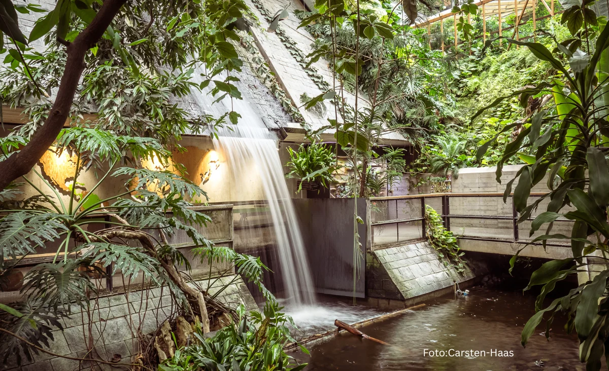 Ein Wasserfall in einem tropischen Garten, umgeben von üppigen Pflanzen und Bäumen in der Biosphäre.