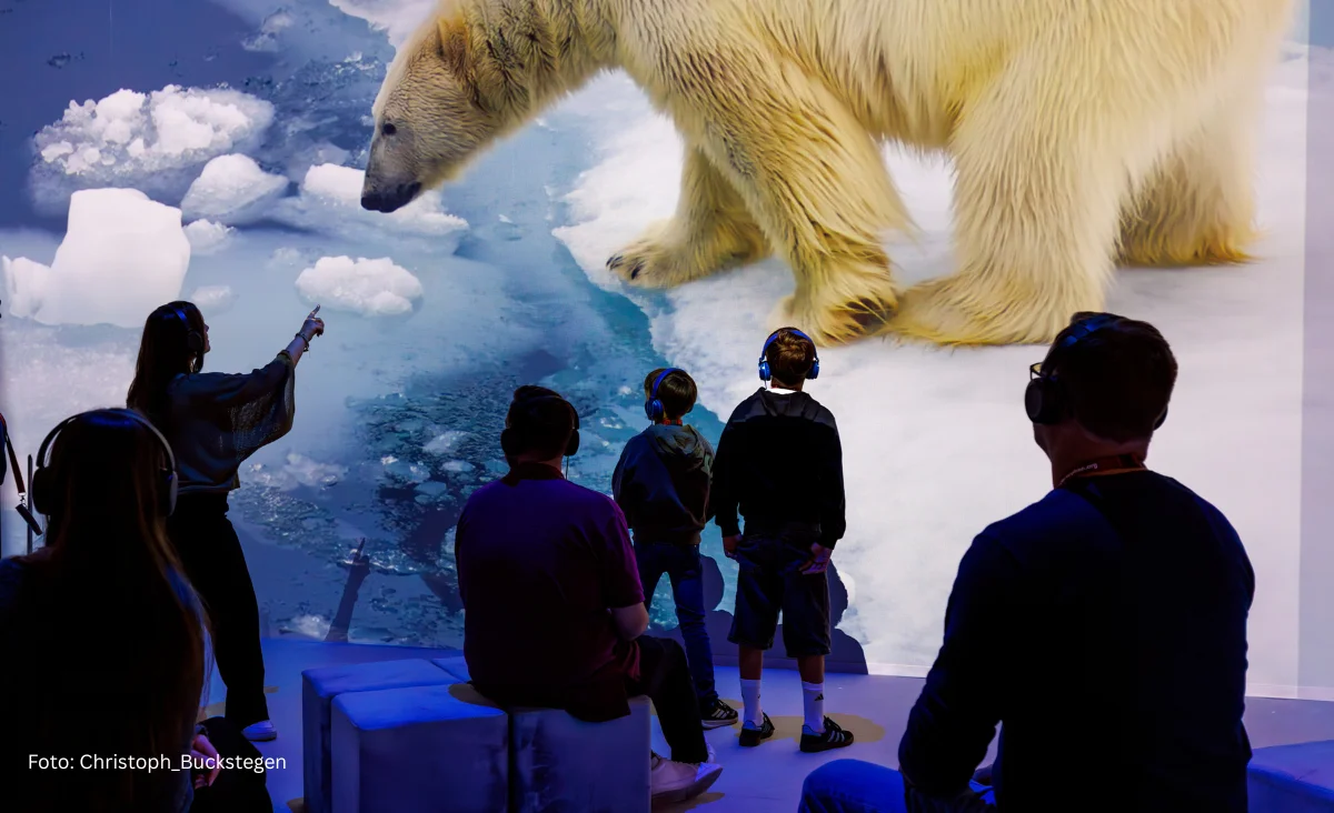 Mehrere Personen mit VR-Brillen vor einer großen Projektion eines Eisbären auf Eisflächen in der Immersive Ausstellung "Polar Experience"