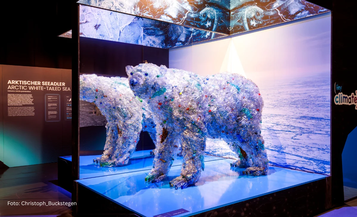 Skulptur eines Eisbären aus transparentem Material bei der Immersive Ausstellung “Polar Experience”