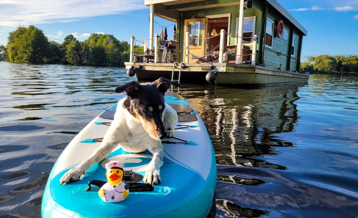 Hund liegt auf einem Stand-up-Paddleboard mit einer Gummiente in Krankenschwesterkleidung vor einem Hausboot auf ruhigem Wasser